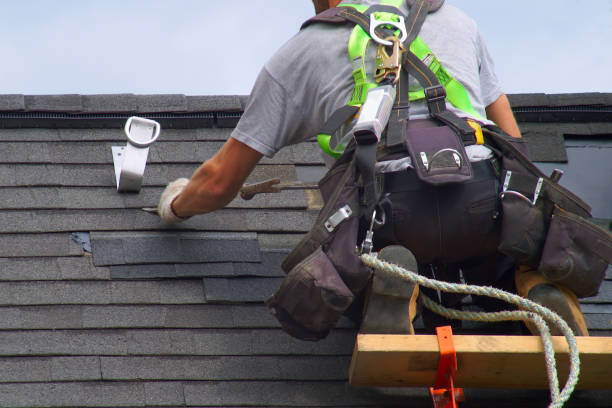 Best Roof Insulation Installation  in Ckam Housing, HI